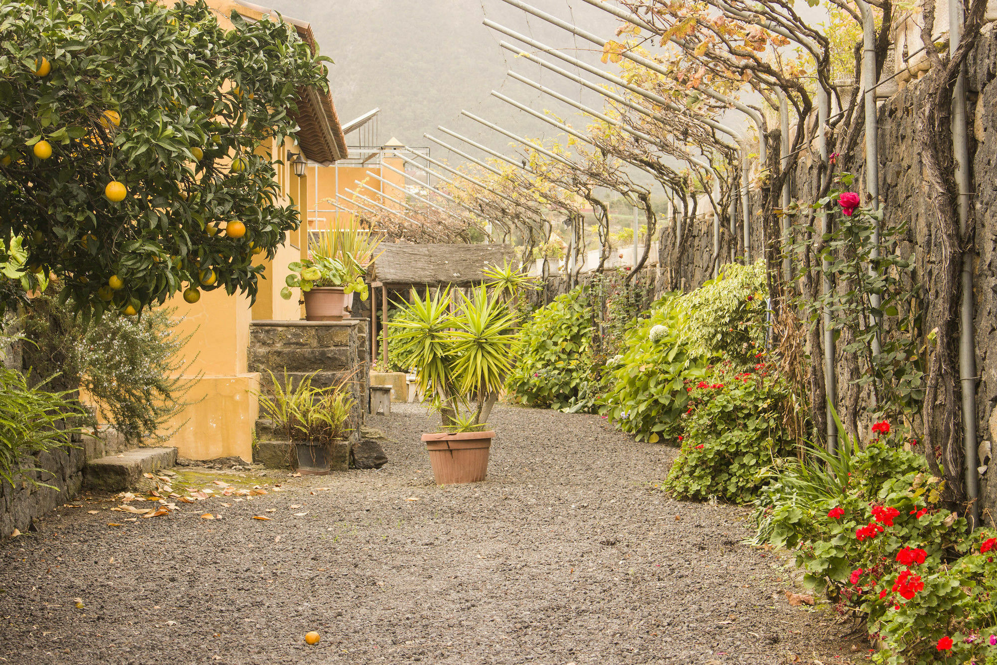 Casa Rural La Tanquera Los Realejos Eksteriør bilde